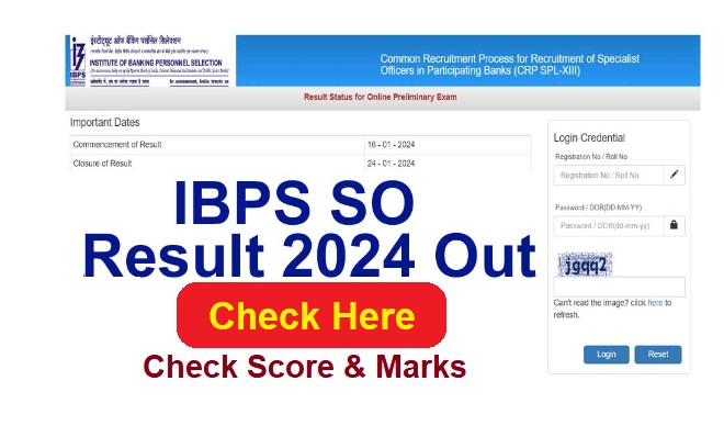 IBPS SO Prelims Exam Result 2024 Out Check Score & Marks Declared